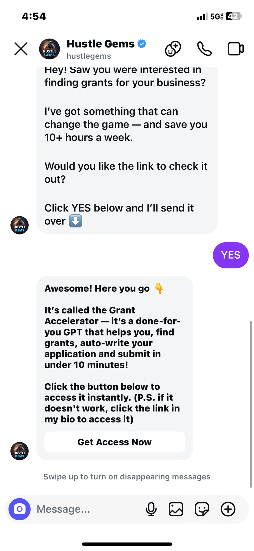 Hustle Gems Grant Accelerator